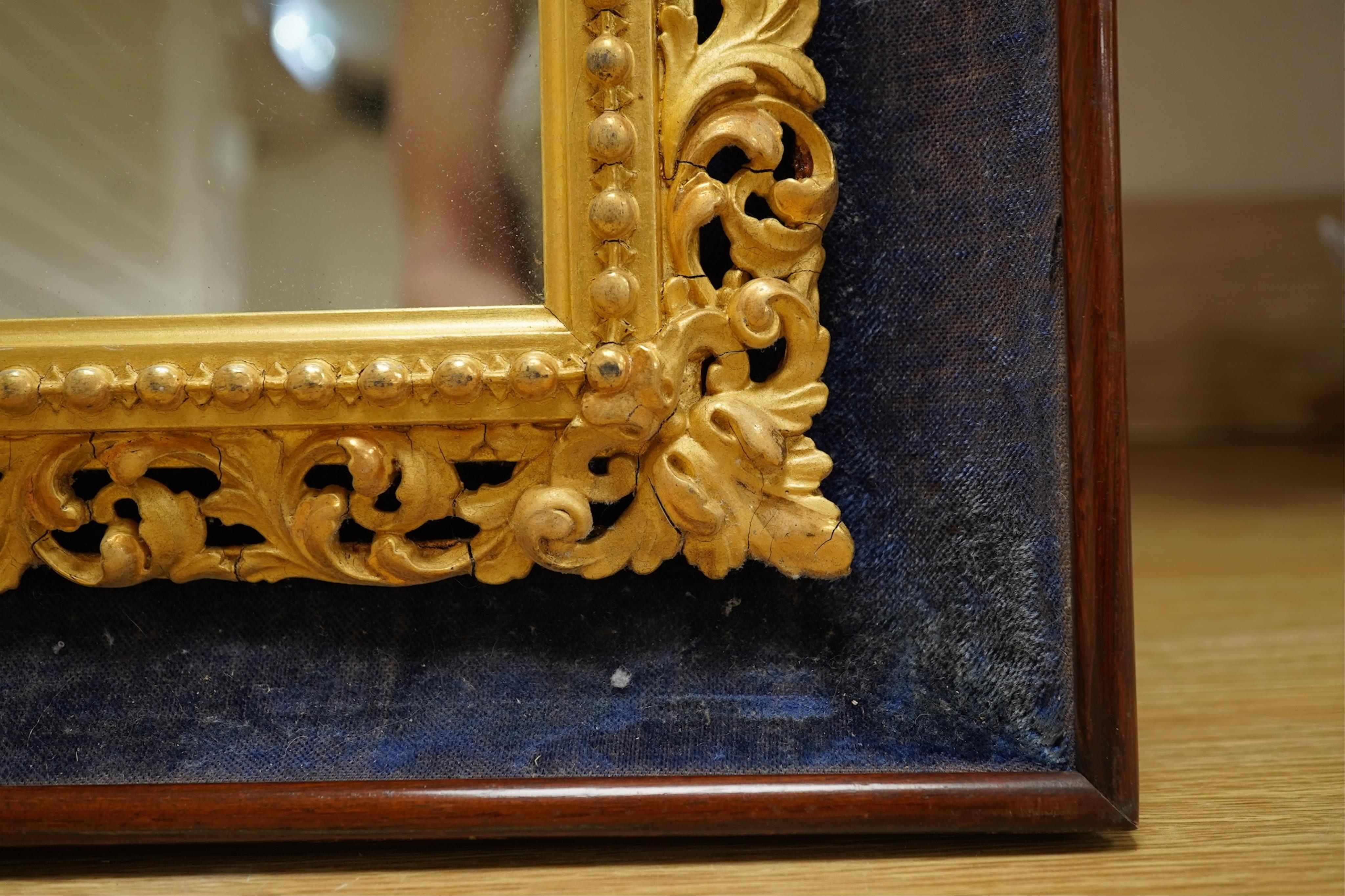A 19th century carved gilt wood framed mirror, displayed within a blue velvet mount and outer rosewood frame, 48cm wide x 56cm high